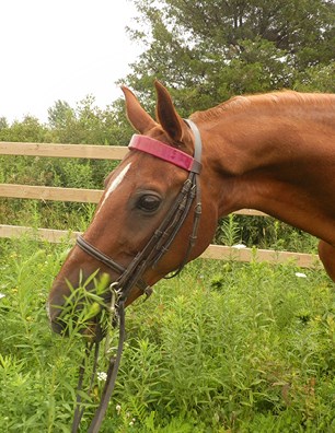 Sport Out On The Trail